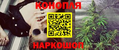гидра Камышлов