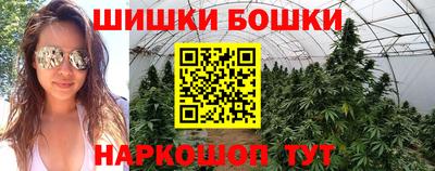 mdpv Кандалакша