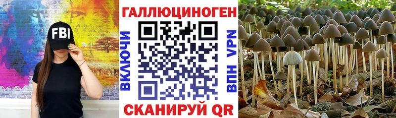 как найти   Похвистнево  Псилоцибиновые грибы Cubensis 