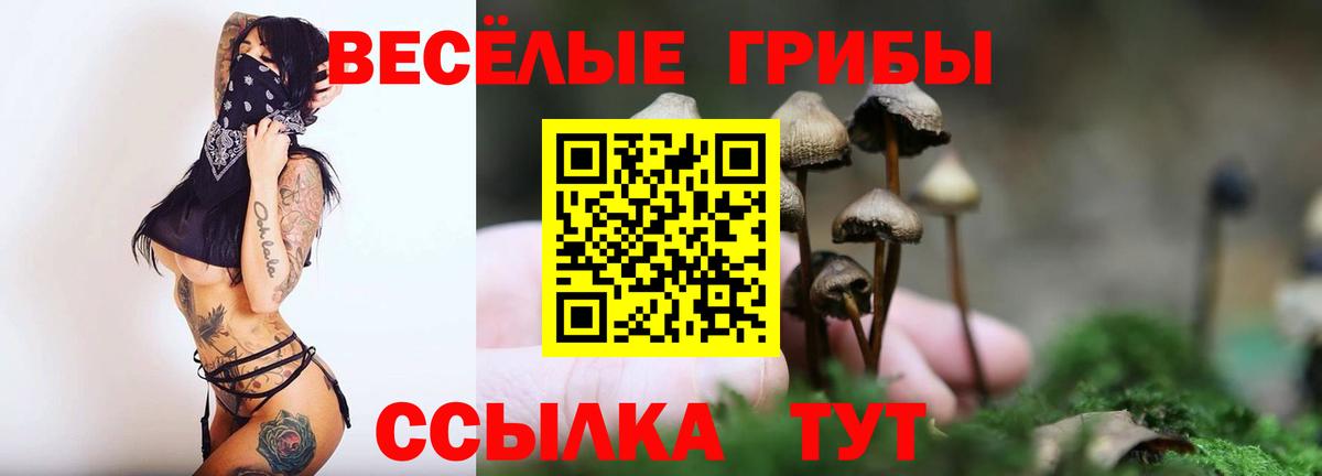 где найти наркотики  Псилоцибиновые грибы GOLDEN TEACHER  Вход с VPN  Галлюциногенные грибы прущие грибы  Похвистнево 