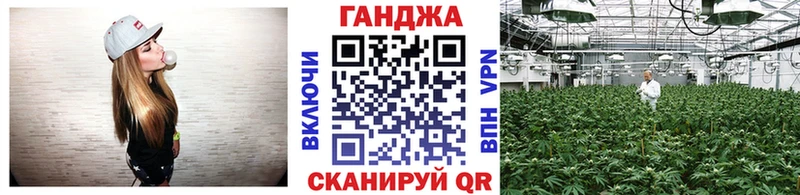 Конопля гибрид  Похвистнево 